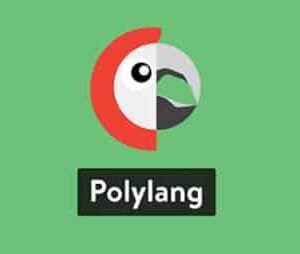 Polylang for WooCommerce 2.1.4 - GPLPlus