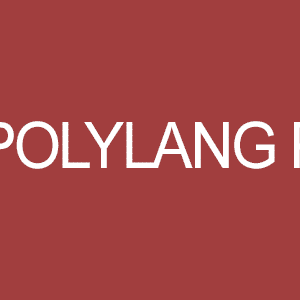 Polylang Pro 3.7.2 - The Most Popular Multilingual Plugin - GPLPlus